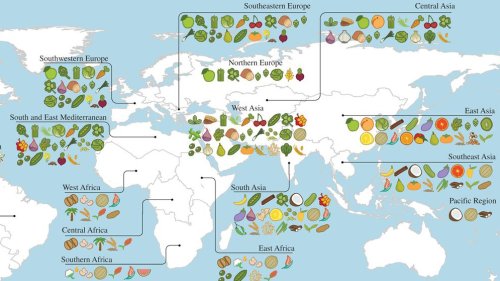 A Map Of Where Your Food Originated May Surprise You