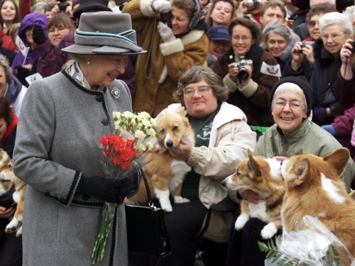 What will happen to Queen Elizabeth's beloved corgis?