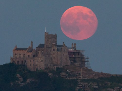Strawberry moon forever — or at least this weekend