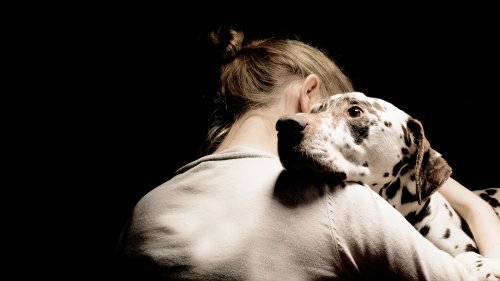 Pets Help People Manage The Pain Of Serious Mental Illness
