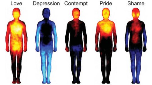 Mapping Emotions On The Body: Love Makes Us Warm All Over