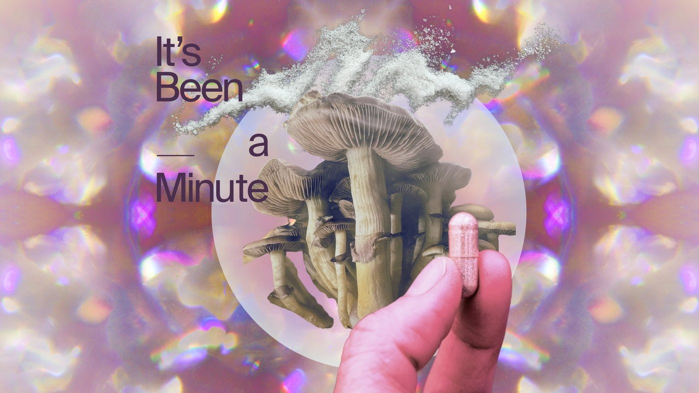 Why tech bros worship psychedelics (and think you should too) : It's Been a Minute
