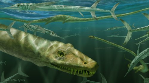 Paleontologists discover a 240-million-year-old 'dragon' fossil in full