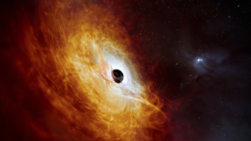 Scientists have found a black hole so large it eats the equivalent of one sun per day