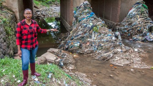 She Owes Her Big Environmental Prize To Goats Eating Plastic Bags