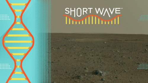 This is what living on Mars could do to the human body : Short Wave