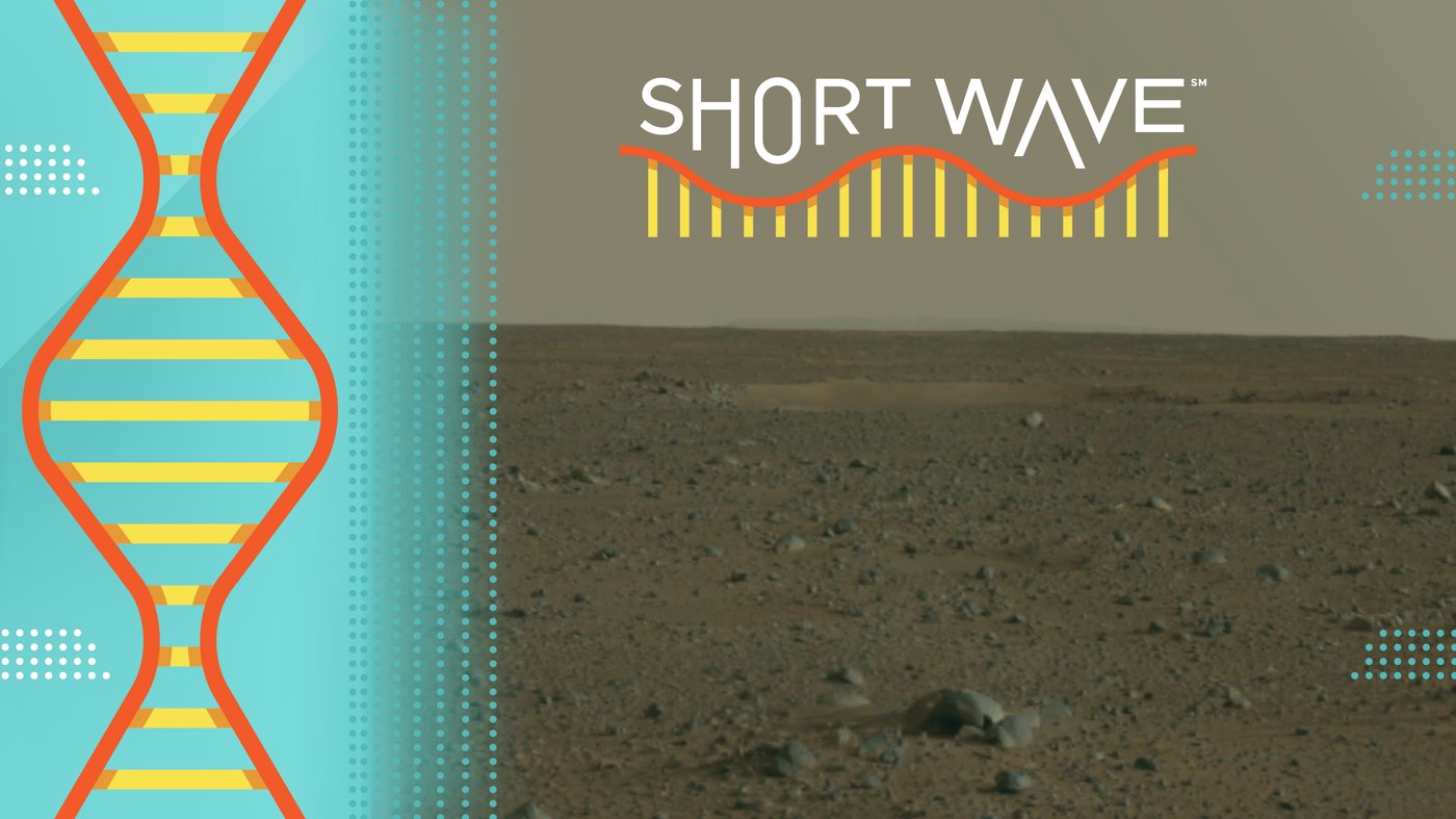 This is what living on Mars could do to the human body : Short Wave