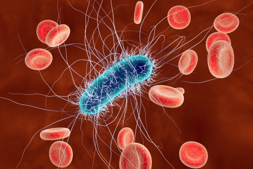 A rapidly spreading E. coli outbreak in Michigan and Ohio is raising health alarms