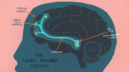 Anatomy Of Addiction: How Heroin And Opioids Hijack The Brain