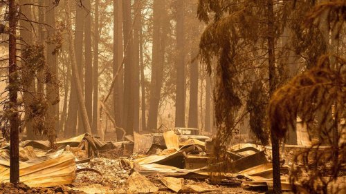 Climate Change Is Driving Deadly Weather Disasters From Arizona To Mumbai