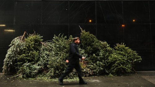 How to give your Christmas tree new life or kick it to the curb