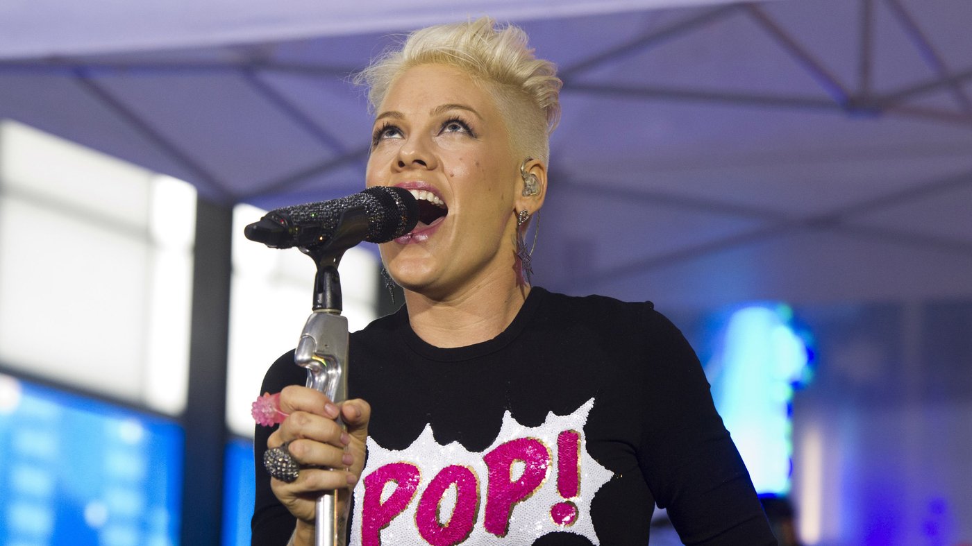 Pink gives away 2,000 banned books at Florida concerts