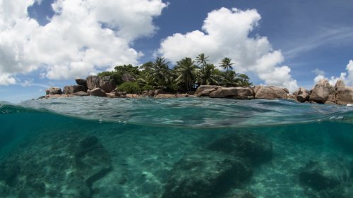 Seychelles Finds A Novel Way To Swap Its Debt For Marine Protections