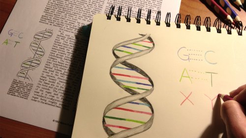 Chemists Expand Nature's Genetic Alphabet