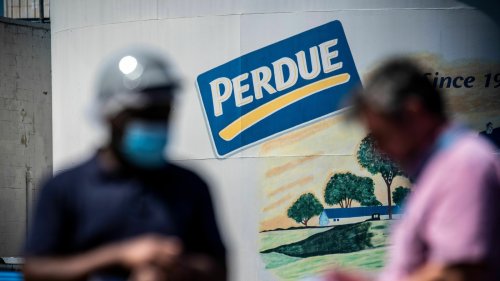 Perdue Farms and Tyson Foods under federal inquiry over reports of illegal child labor