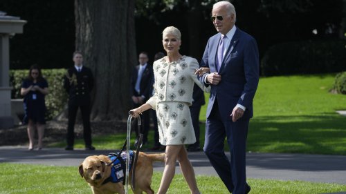 The moment when Selma Blair's service dog seemingly made Biden one of his people