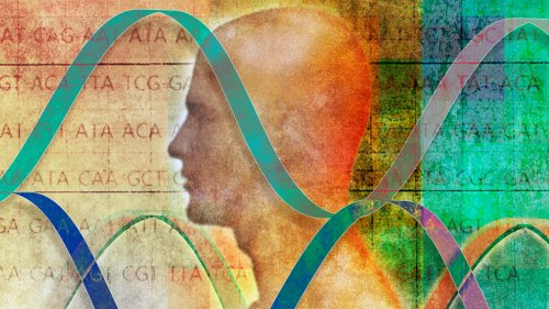 The Power Of Genes, And The Line Between Biology And Destiny