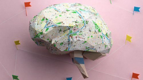 Scientists built the largest-ever map of the human brain. What they found