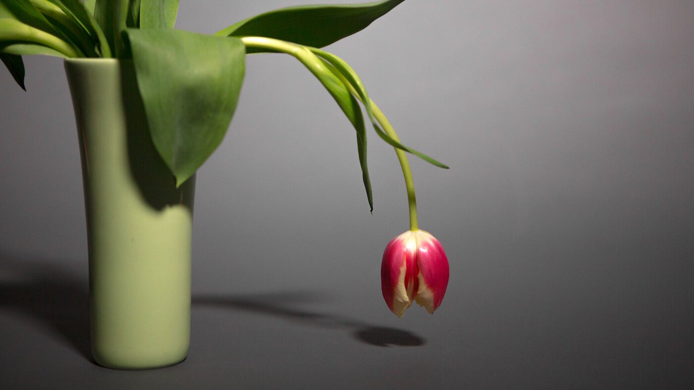 Burnout isn't just exhaustion. Here's how to deal with it : Life Kit
