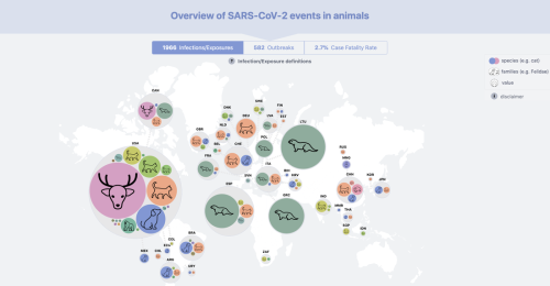 how-many-animal-species-have-caught-covid-first-global-tracker-has