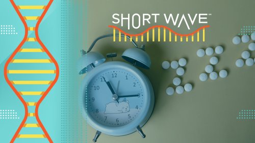 What sleep experts say about kids and melatonin : Short Wave