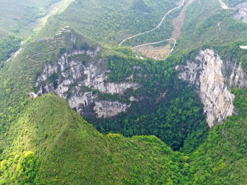 Scientists discover an ancient forest inside a giant sinkhole in China