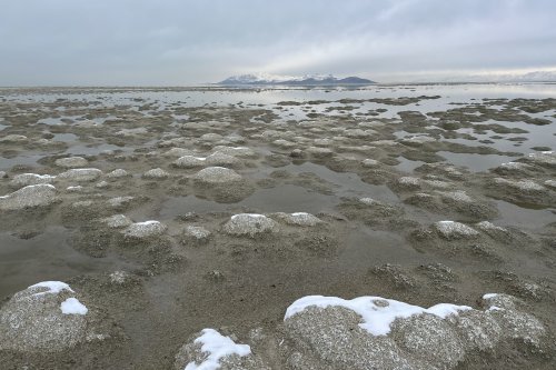 Climate change and a population boom could dry up the Great Salt Lake in 5 years