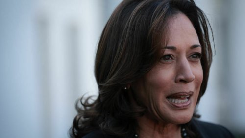 Harris plans to attend the COP28 climate summit