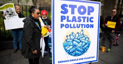 Poll: People Want Action on Plastics for Health and Wildlife