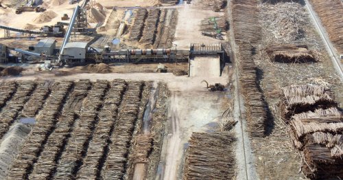 New Biomass Funding Would Cost Loads & Worsen Climate Change