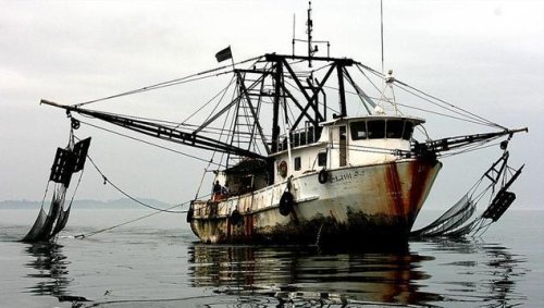 U.S. Leaders Unveil Actions to Combat Illegal Fishing