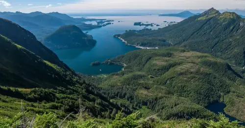 Alaska’s Tongass National Forest Gets the Protections It Deserves