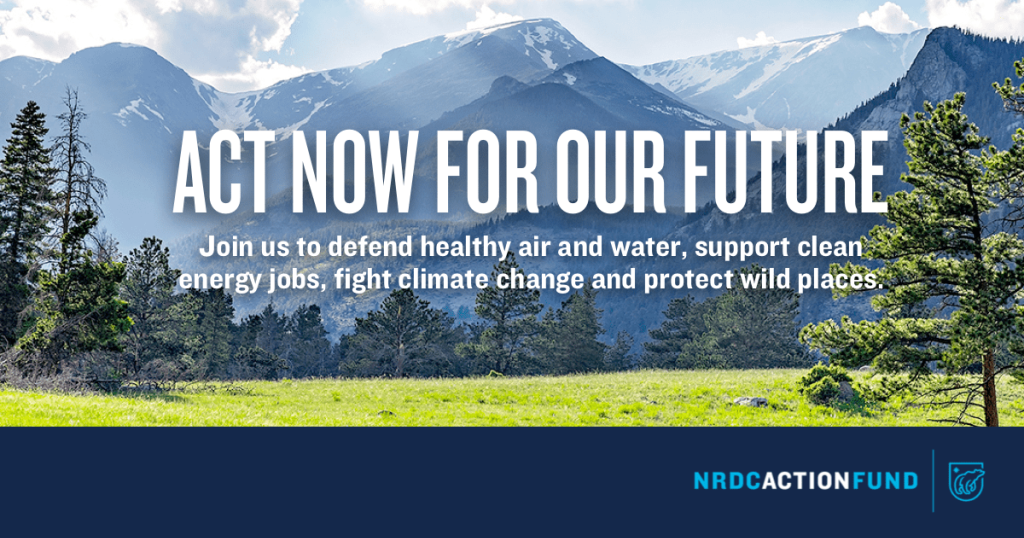 NRDC Action Fund Stories - cover