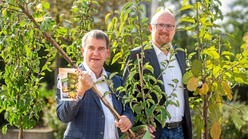 Duisburg verschenkt erneut 3000 Bäume: Vorbestellung Pflicht