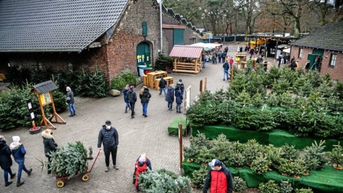 Hünxe: Kleiner Weihnachtsmarkt lockt auf Hof nach Drevenack