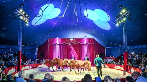 Kleve: Zirkus Renz spielt ab Donnerstag bei Burg Ranzow
