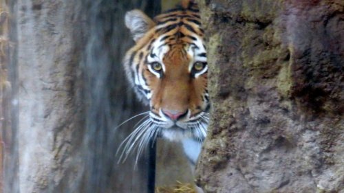 Wissenswertes für ihren Besuch in der Zoom Erlebniswelt