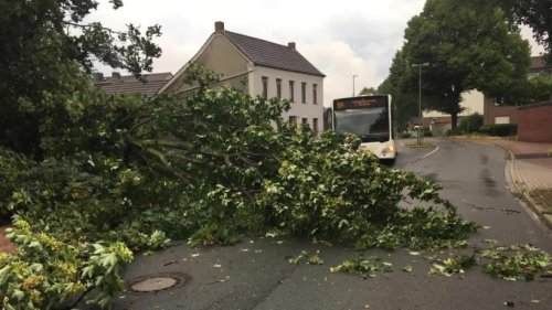 Unwetter in NRW: Mehr als 1650 Feuerwehr-Einsätze im Land