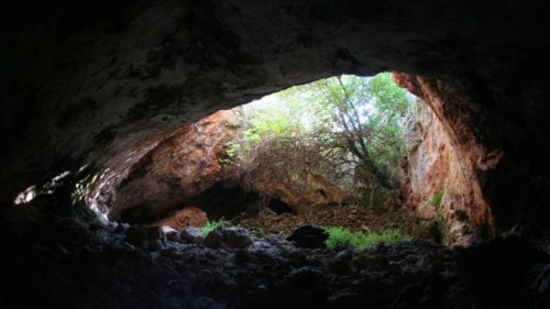 Archäologie: Knochenfunde in Höhle deuten auf grausames Ritual hin
