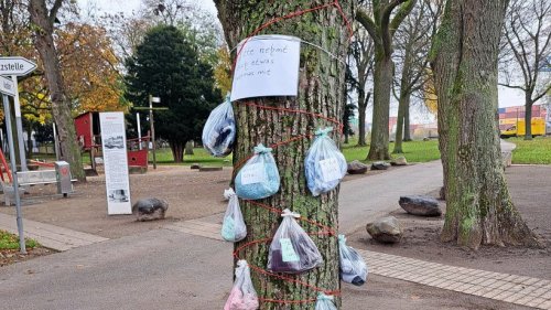 Emmerich: Spendenbaum im Rheinpark mit wärmender Kleidung