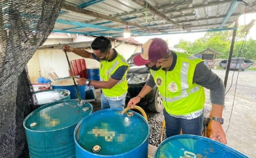 Fuel raids uncover list of vehicles belonging to Perlis Domestic Trade Ministry officers