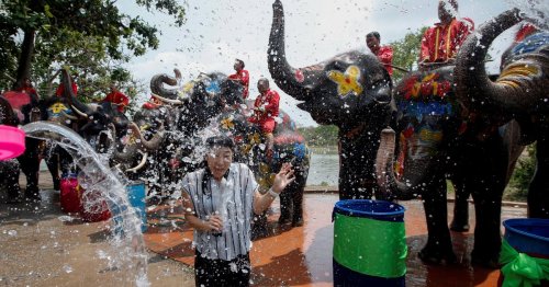 Thailand soaks in Songkran celebration, but animal rights activists throw wet blanket