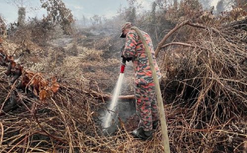 Firefighters battle remaining blaze after dousing 260ha peat fire in Pahang