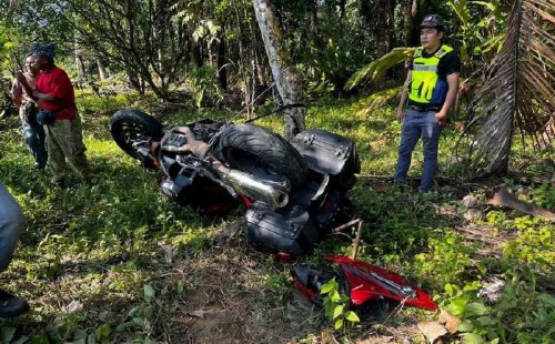 Couple killed after superbike crashes into tree