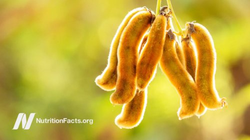 Treating Parkinson’s Disease with Velvet Beans (Mucuna pruriens) | NutritionFacts.org