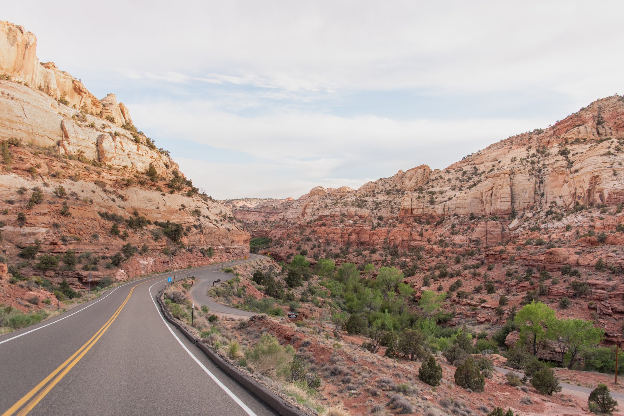 The Spirit of the American Road Trip
