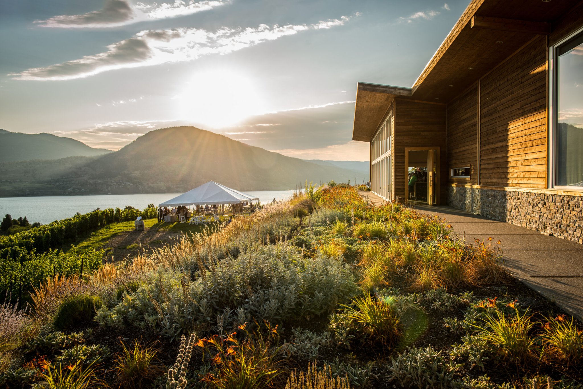 A Toast to Canadian Wine