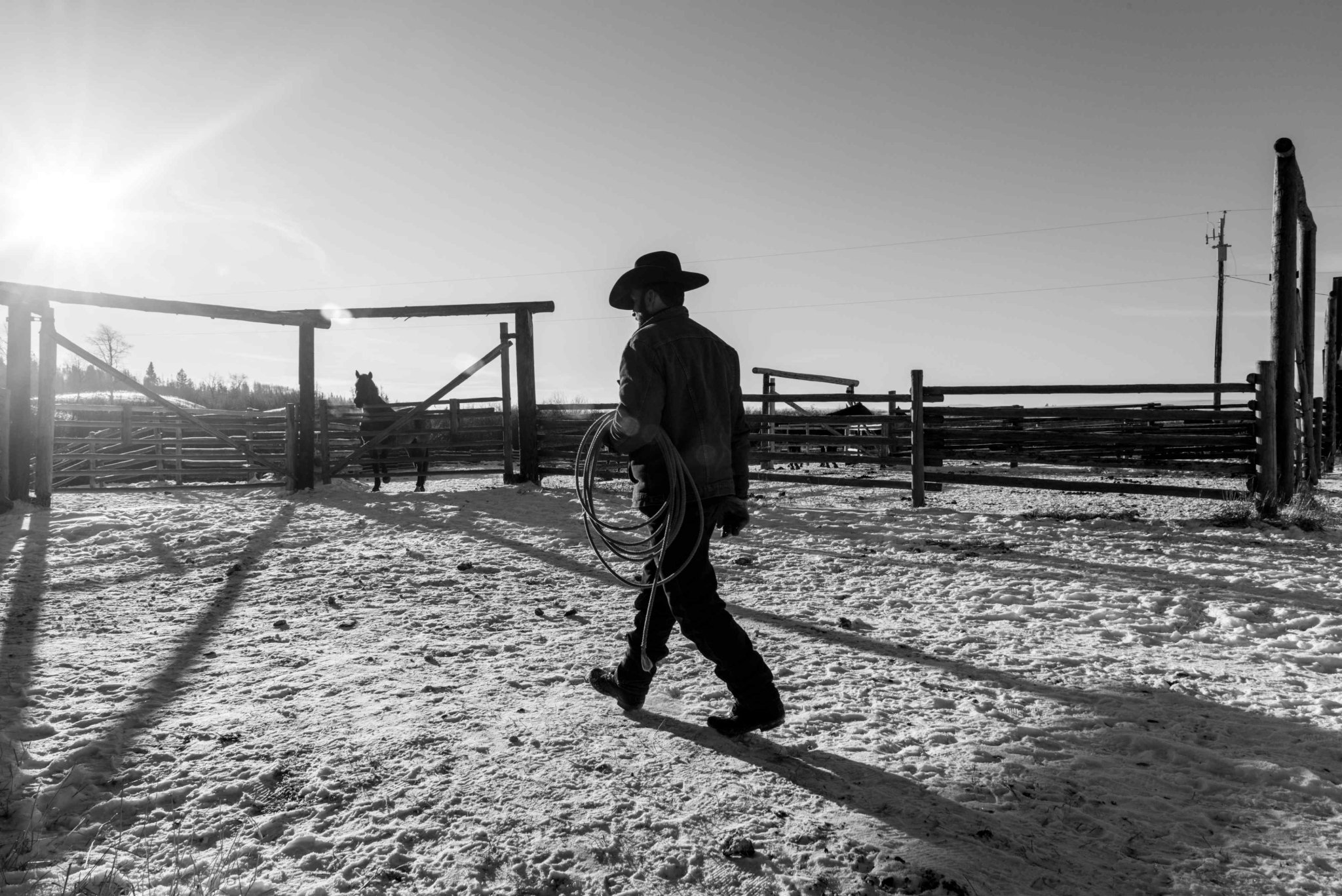 The Last Cowboys of Canada