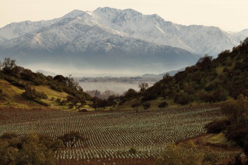 The Chilean Winery That Disrupted Itself