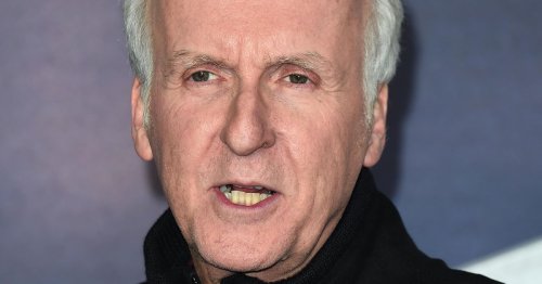 What Exactly Is Going on Between James Cameron and This Diver?